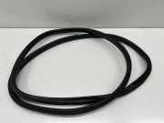 Dichtungsgummi der hinteren Tür (an der Karosserie) BMW 2 Gran Tourer (F46) 220 i