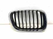 Vorderer oberer Gitter BMW X5 (E53) 4.4 i 8247674