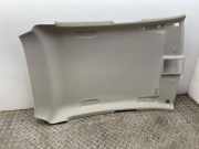 Dachverkleidung RENAULT CLIO V (B7_) 1.3 TCe 130 (B7MF) 10001453291989