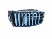 Gitter NISSAN MICRA III (K12) 1.2 16V 01016132