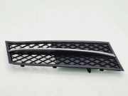 Gitter vorne unten BMW 5 (F10) 520 d 51117200700