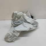 Armaturenbrett Airbag AUDI A5 Sportback (F5A) 35 TDI 8W0880204D