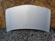 Motorhaube Renault Megane II (BM/CM)