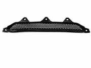 Kühlergrill unten Audi R8 (42)