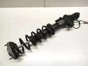 Stoßdämpfer hinten links BMW 6 Coupe (F13) 640 d F06H034VA