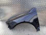 Kotflügel vorne links