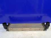 Ladeluftkühler VOLVO S80 II (AS) D3 / D4 31319424 31273909