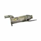 Abgaskühler Jaguar X-Type (X400) 4R8Q9Y493BJ