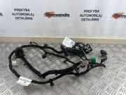 Kabel Tür Ford EcoSport () CN1514631
