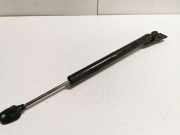 Türanschlag hinten links BMW 7 (F01, F02) 740 d 7177647