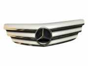 Gitter Grill vorne links MERCEDES-BENZ B (W245) B 200 CDI (245.208) A1698800883