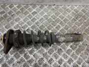 Stoßdämpfer hinten rechts MINI COUNTRYMAN (R60) One 9807016
