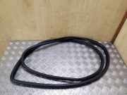 Türgummi links vorne Lexus RX 3 (L1)