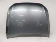 Motorhaube Audi Q5 (8R)