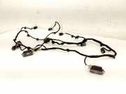 Kabelbaum Ford EcoSport () CN1515K868