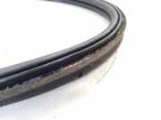 Türdichtung BMW X3 (E83) 51713435256