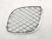 Gitter BENTLEY CONTINENTAL FLYING SPUR (3W_) 6.0 3W5807683F