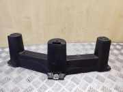 Unterfahrschutz Mercedes-Benz B-Klasse Sports Tourer (W246, W242) A2426820086