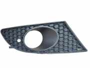 Gitter vorne unten SEAT LEON (1P1) 1.9 TDI 1P0853666A