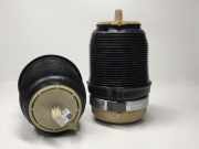 Stoßdämpfer vorne Audi A6 (4F, C6) 4F0616001