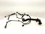 Kabel Tür Renault Zoe (BFM) 241258513R