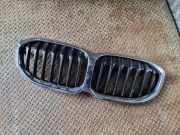 Vorderer oberer Gitter BMW F40 (F40)118i 5A39368