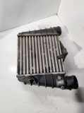 Ladeluftkühler VW FOX (5Z1, 5Z3) 1.4 TDI 862403N