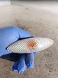 Blinker Kotflügel links Toyota Yaris (P1) R169