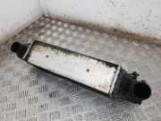 Ladeluftkühler FORD FOCUS (DAW, DBW) 1.8 Turbo DI / TDDi XS4Q9L440BD