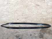 Dachreling-Set BMW X5 (E70) 4.8 i xDrive