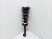 Stoßdämpfer hinten links