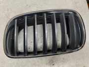 Vorderer oberer Gitter BMW X5 (E70) 4.8 i xDrive 7171395
