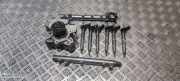Einspritzventil Set MERCEDES-BENZ GLE (W166) 350 d 4-matic (166.024) A642070