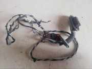 Türverkabelung hinten links BMW X3 (F25) xDrive 35 i 09401605