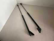 Heckklappe Gasdruckfeder links BMW X1 (E84) xDrive 20 i 51242990136