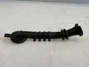 Schlauch Kühlung AUDI A5 (8T3) S5 quattro 8K0260113C