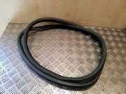 Türdichtung Peugeot 508 I ()