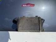 Kühlerluftumlenker VW TRANSPORTER IV Minibus / passenger (70XB, 70XC, 7DB, 7DW, 7DK) 2.5 TDI 701145805A