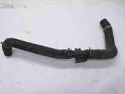 Kühlerschlauch Nissan Juke (F15)