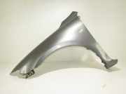 Kotflügel vorne links