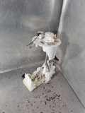 Kraftstofftankpumpe TOYOTA C-HR (_X1_) 1.8 Hybrid (ZYX10_) 7A5C333