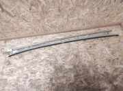 Dachreling links Audi A6 (4F, C6)