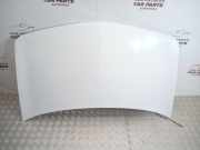 Motorhaube Renault Megane II (BM/CM)