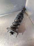 Stoßdämpfer hinten links TOYOTA COROLLA Verso (ZER_, ZZE12_, R1_) 2.2 D-4D (AUR10_) 485300F020
