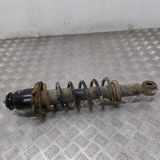 Stoßdämpfer hinten links TOYOTA COROLLA Estate (_E12_) 2.0 D-4D (CDE120_)