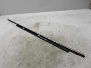 Fensterleiste Tür vorne links