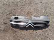 Vorderer oberer Gitter CITROËN C5 I (DC_) 2.0 16V (DCRFNC, DCRFNF) 9636751980