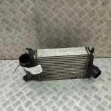 Ladeluftkühler RENAULT KADJAR (HA_, HL_) 1.5 dCi 110 144614EA0AG