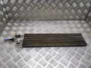 Kraftstoffkühler (Kühler) VW PASSAT B6 (3C2) 1.9 TDI