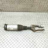 Stoßdämpfer links vorne Land Rover Discovery V (L462) HY323C286BC